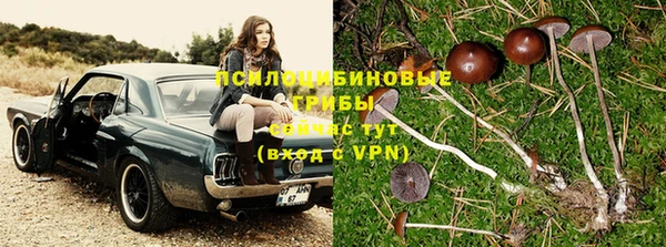 apvp Абдулино