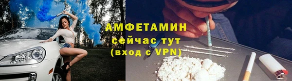 прущие грибы Абинск