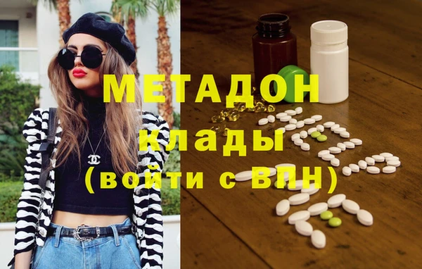 прущие грибы Абинск