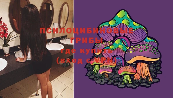 apvp Абдулино