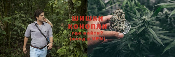 прущие грибы Абинск